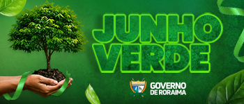 Governo 3 350x150px