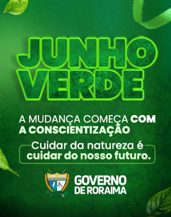 Governo 2