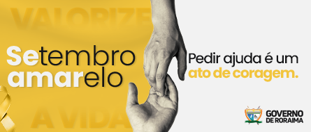 banner governo 11