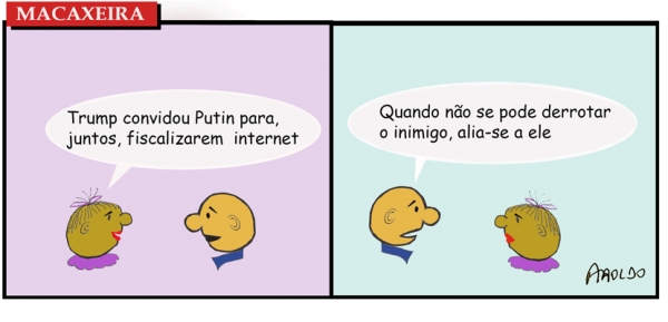 Macaxeira 118
