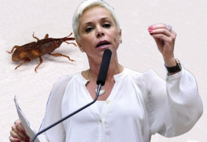 Na vida de Cristiane Brasil tem gorgulho