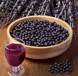 Açaí pode transmitir doença de Chagas