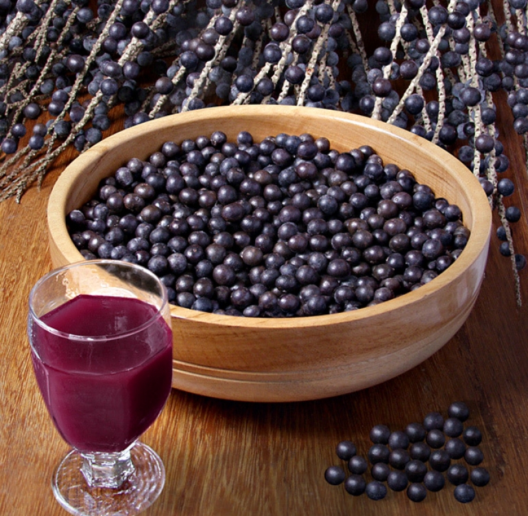Açaí pode transmitir doença de Chagas