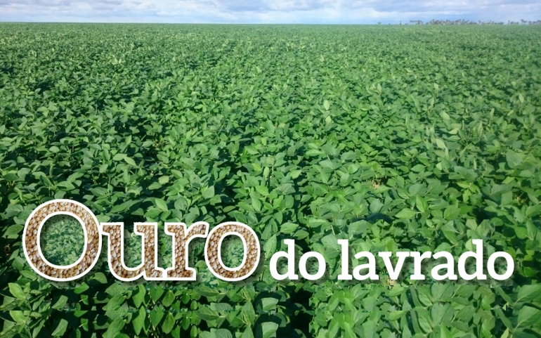 Ouro do lavrado