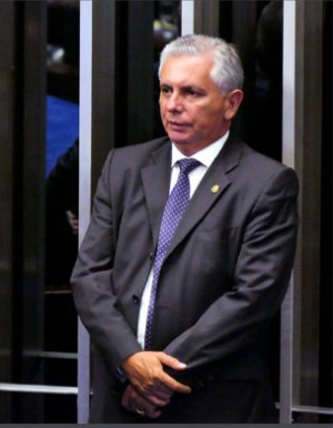 Ilustre desconhecido no Senado Federal