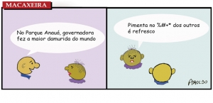 Macaxeira 116