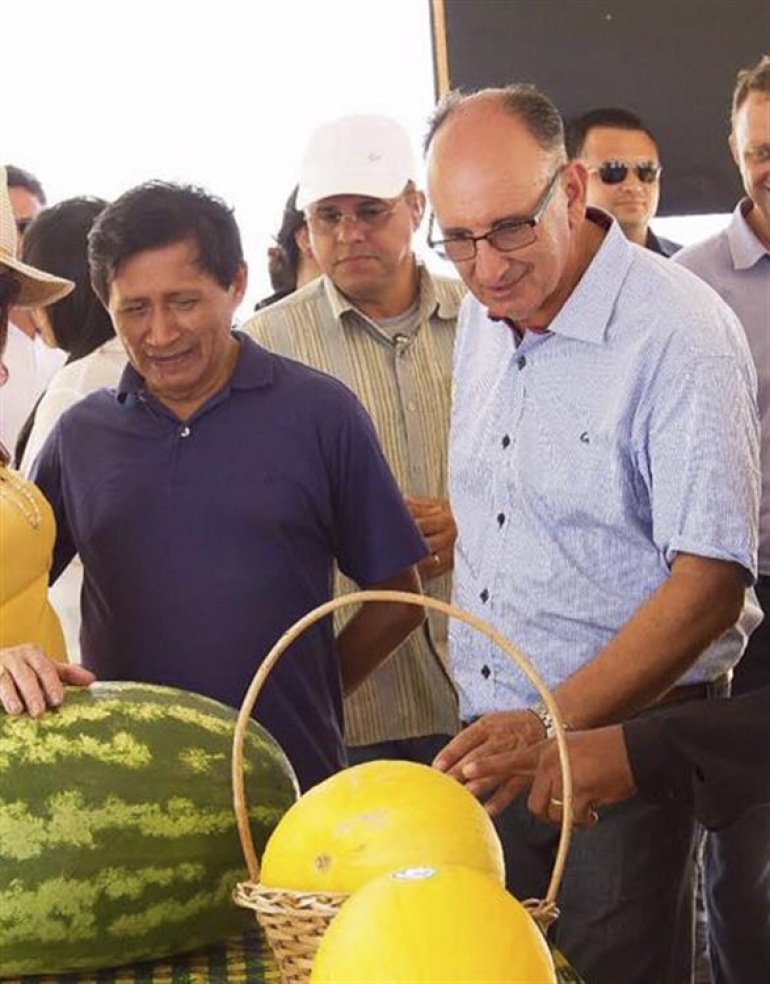 Plantando e colhendo