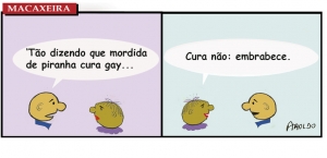 Macaxeira 131