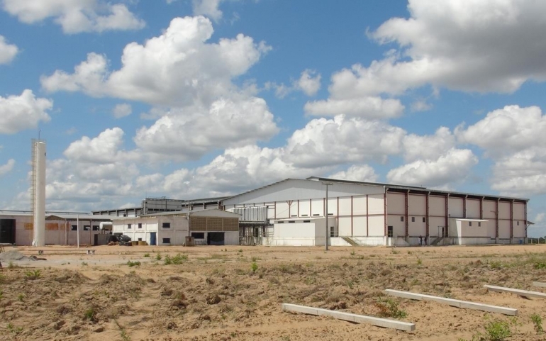 Visionários investem pesado em Roraima