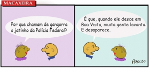 Macaxeira 129