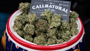 “Vou fumar maconha na Califórnia”