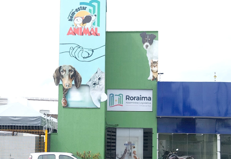 Gravidez indesejada? Aqui, não